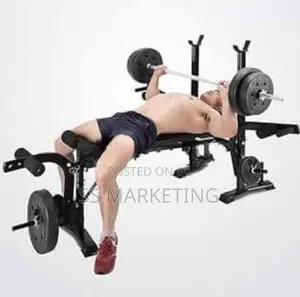 Brand New Bench Dumbbell Weight Plates Home Gym