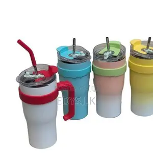Vacuum Insulated Bottle with Straw