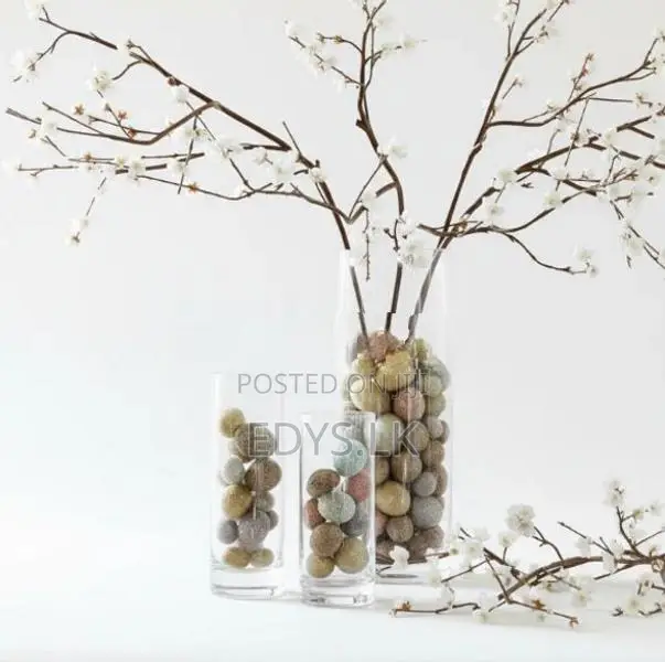 Glass Beaker Vase