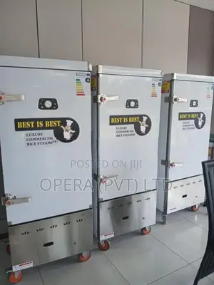 Hotel Gas Steamer 45kg