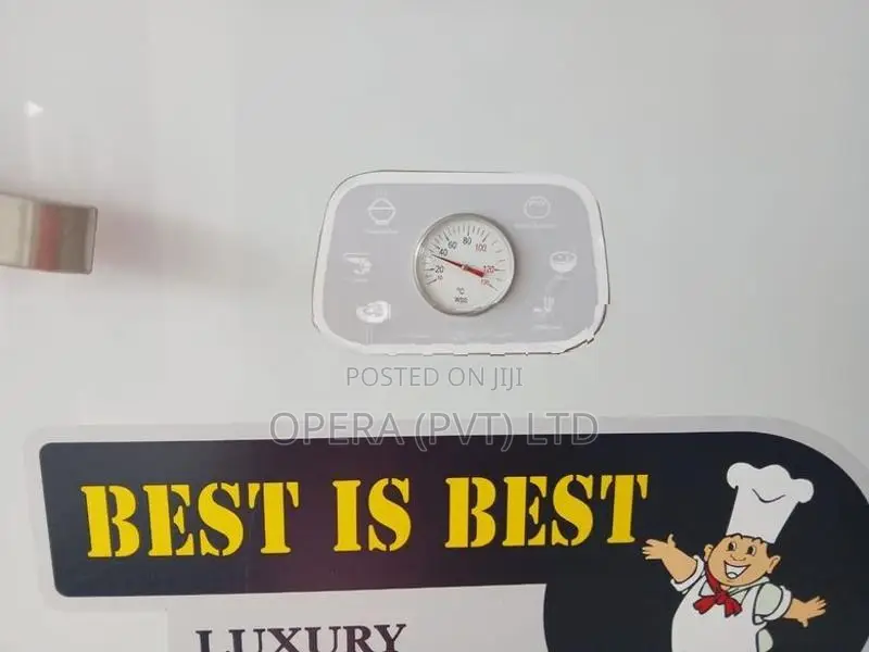 Hotel Gas Steamer 45kg
