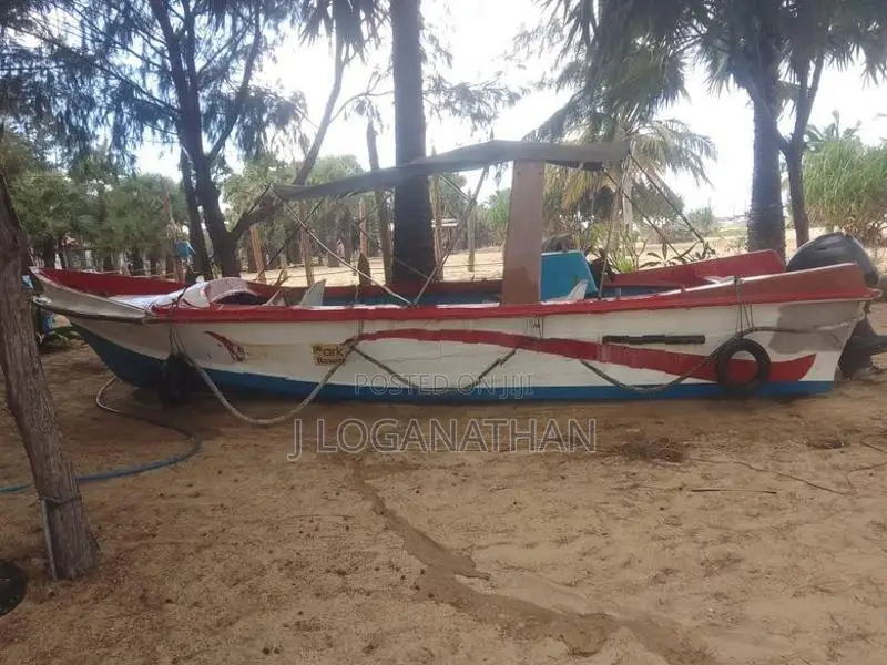 Suzuki Boat