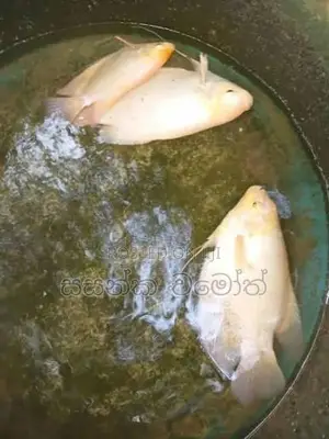ජෑම් ගුරාමි