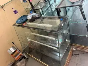 Showcase