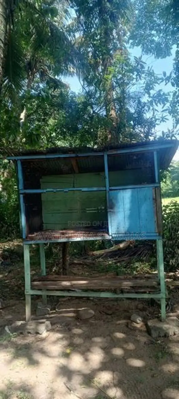 උසස් තත්ත්වයේ ලී සත්ව කූඩුවක් 150×90cm