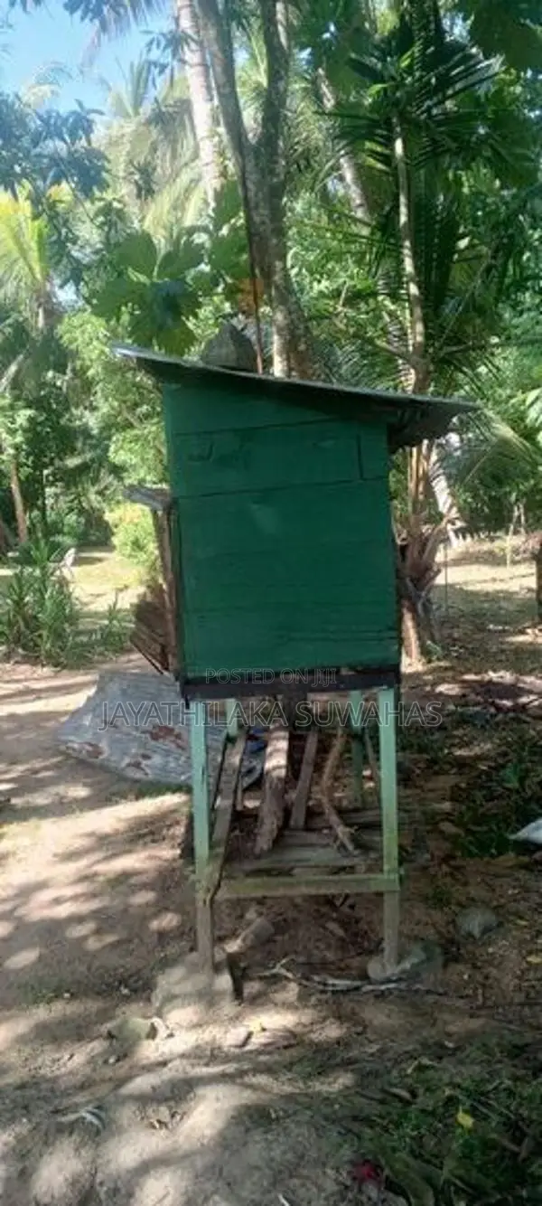 උසස් තත්ත්වයේ ලී සත්ව කූඩුවක් 150×90cm
