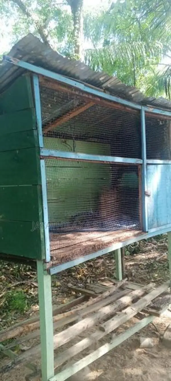 උසස් තත්ත්වයේ ලී සත්ව කූඩුවක් 150×90cm