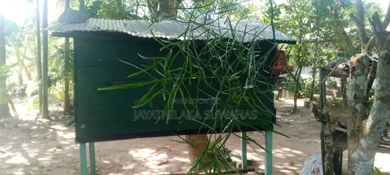 උසස් තත්ත්වයේ ලී සත්ව කූඩුවක් 150×90cm