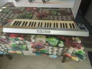 Evolution MK49 Midi Keyboard