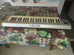 Evolution MK49 Midi Keyboard