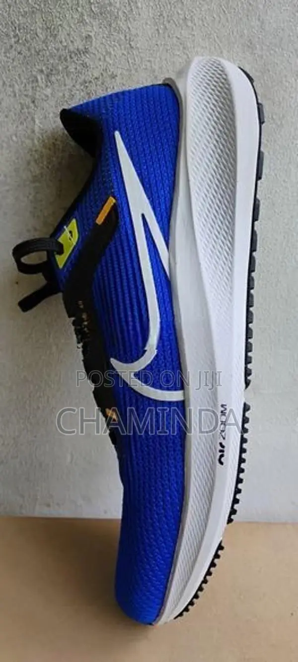 Nike Pegasus 40