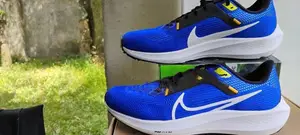 Nike Pegasus 40