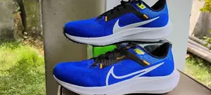 Nike Pegasus 40
