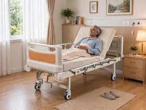 Premium Imported Adjustable Hospital Bed