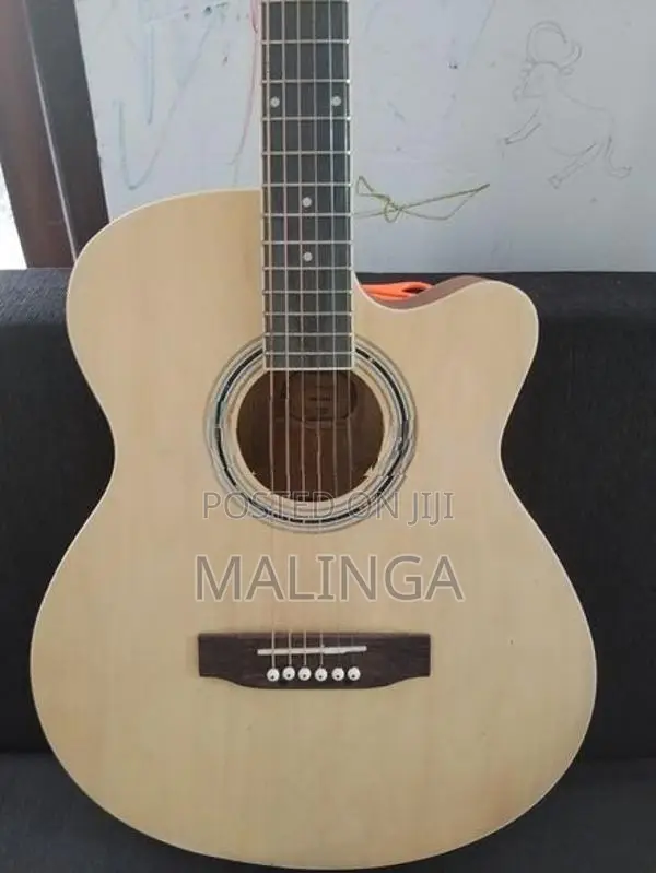 Semi Acoustic Guitar