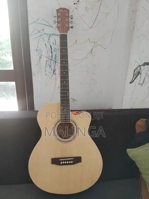 Semi Acoustic Guitar