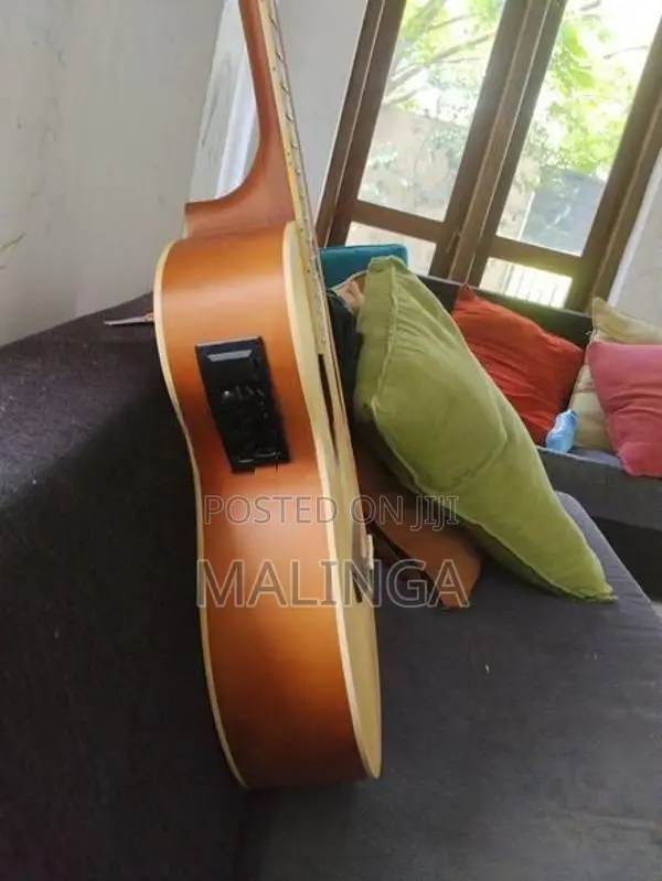 Semi Acoustic Guitar