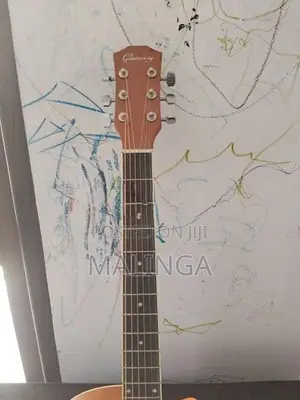 Semi Acoustic Guitar
