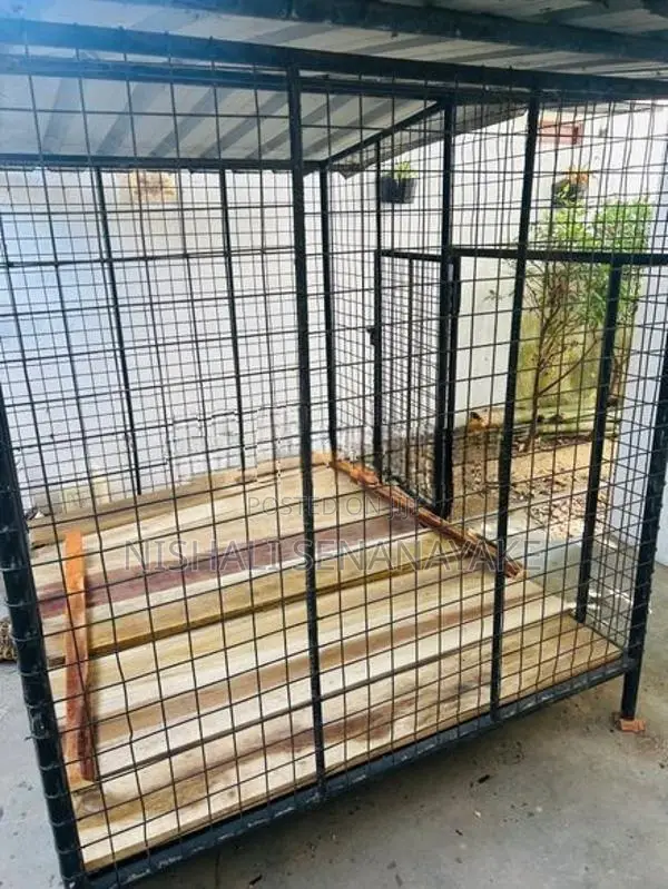 Kennel