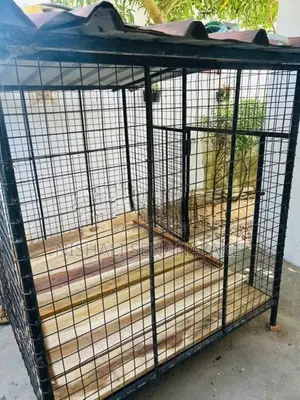 Kennel