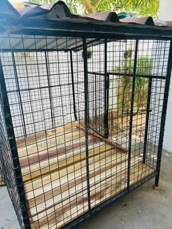 Kennel