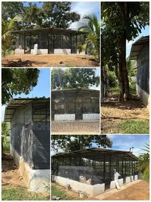 24'x 20' Aviary (Bird Cage)