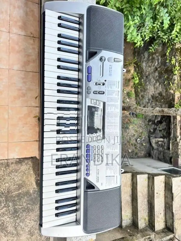 Casio CTK 496