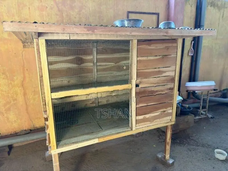 Bird Cage