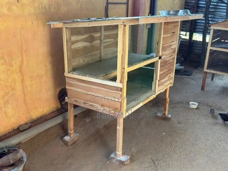 Bird Cage