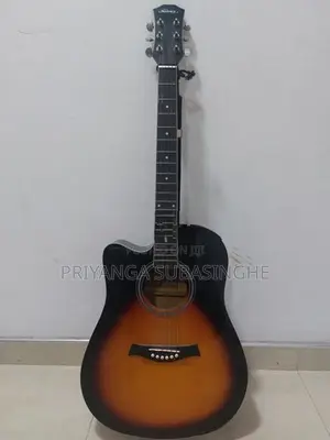 Guitar