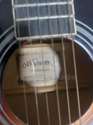 Guitar