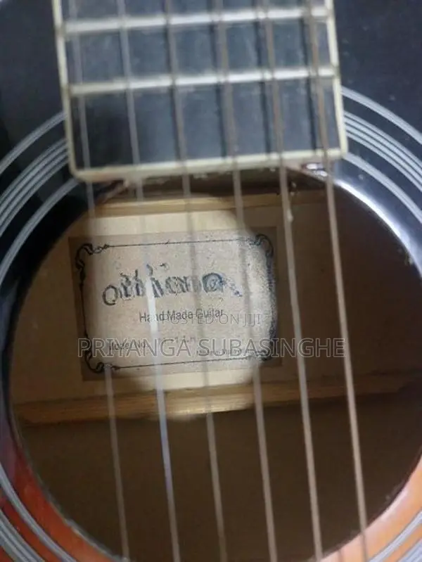Guitar