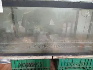 4×2 Fish Tank With 1800LH Pump