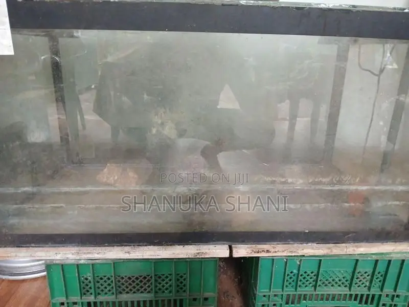 4×2 Fish Tank With 1800LH Pump