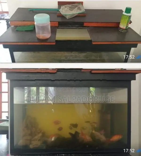 මාළු ටැංකි