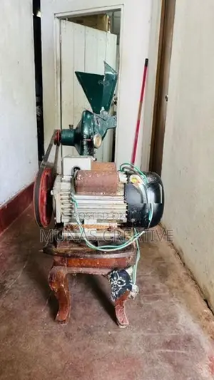 Home Used Multi Purpose Griding Machine