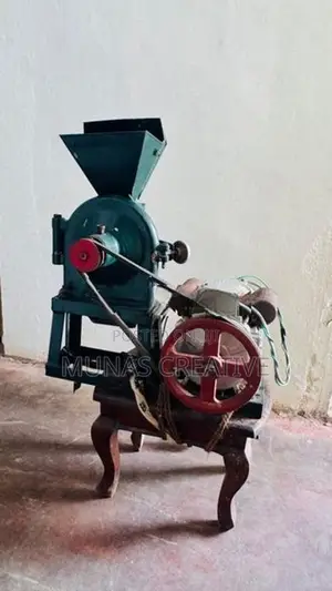 Home Used Multi Purpose Griding Machine