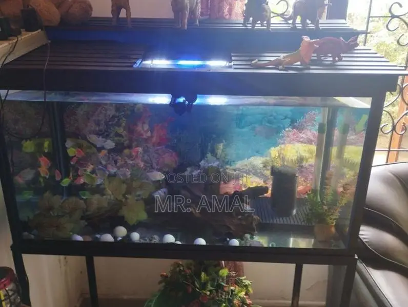 Fish Tank 3'1.5 Feet