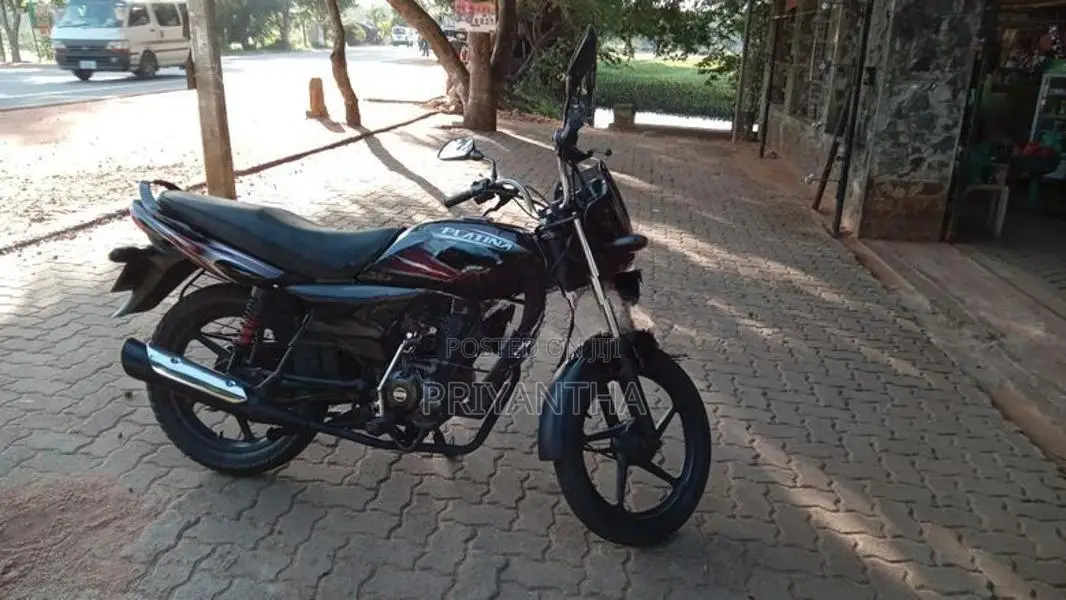 Bajaj Platina 2013