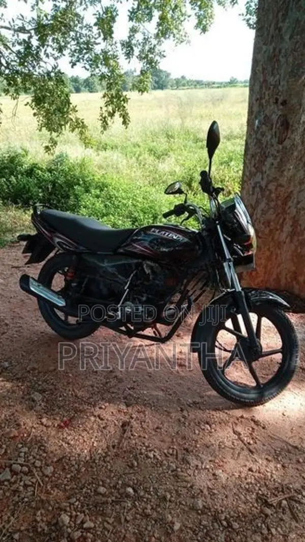 Bajaj Platina 2013