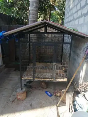 Dog Cage