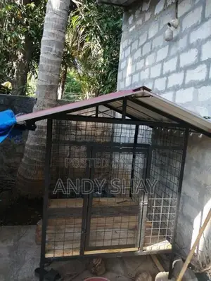 Dog Cage