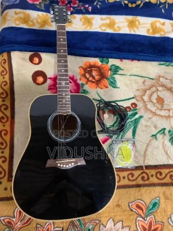 Guitar