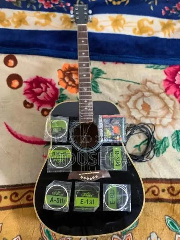 Guitar