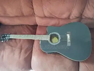 Suzuki SGD Box Guitar ( Japan ) Semi Electric