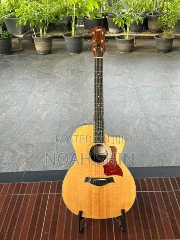 Acoustic Guitar