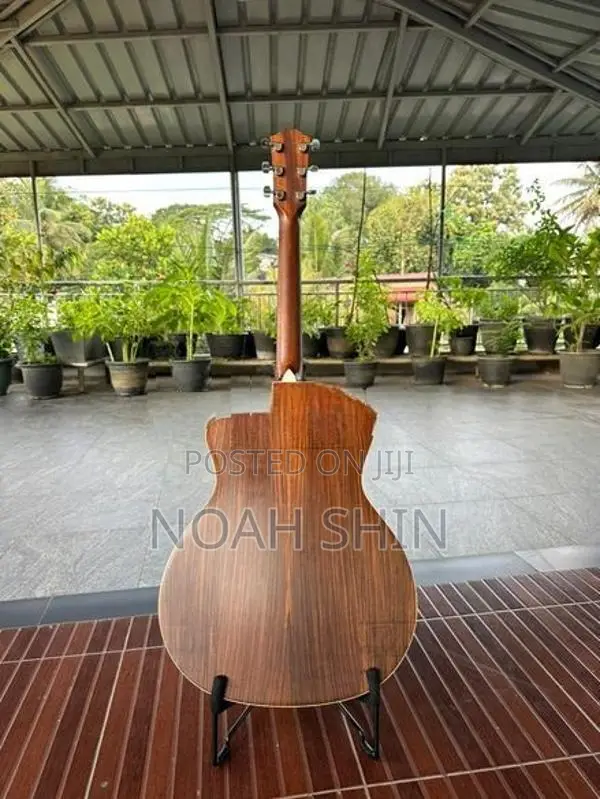 Acoustic Guitar