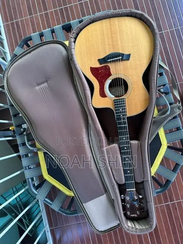 Acoustic Guitar