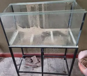Fish Tank with Accessories
