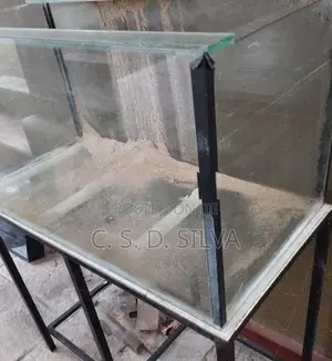 Fish Tank with Accessories
